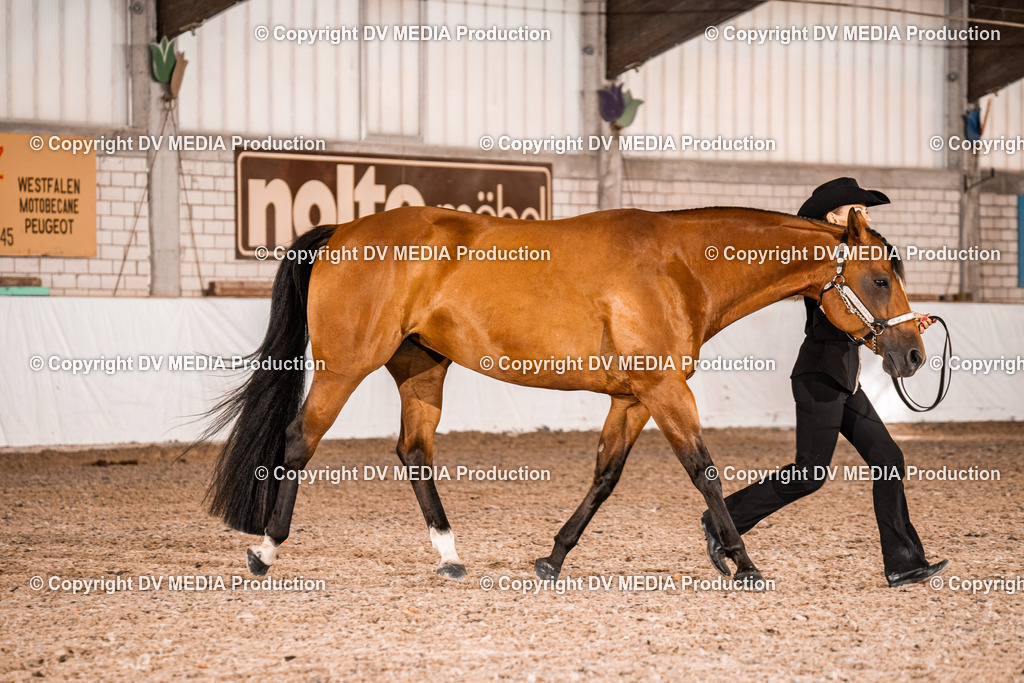 ZH100052 | dv-media-shop - Realisiert mit Pictrs.com