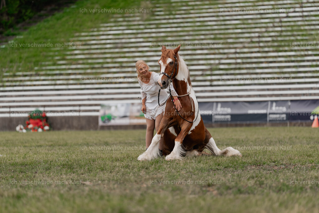 Showprogramm-447 | working equitationturnier fotograf videograf stoibphotography marixx film working equitation deutschland reitsport turnierfotografie eventfotografie equestrian events