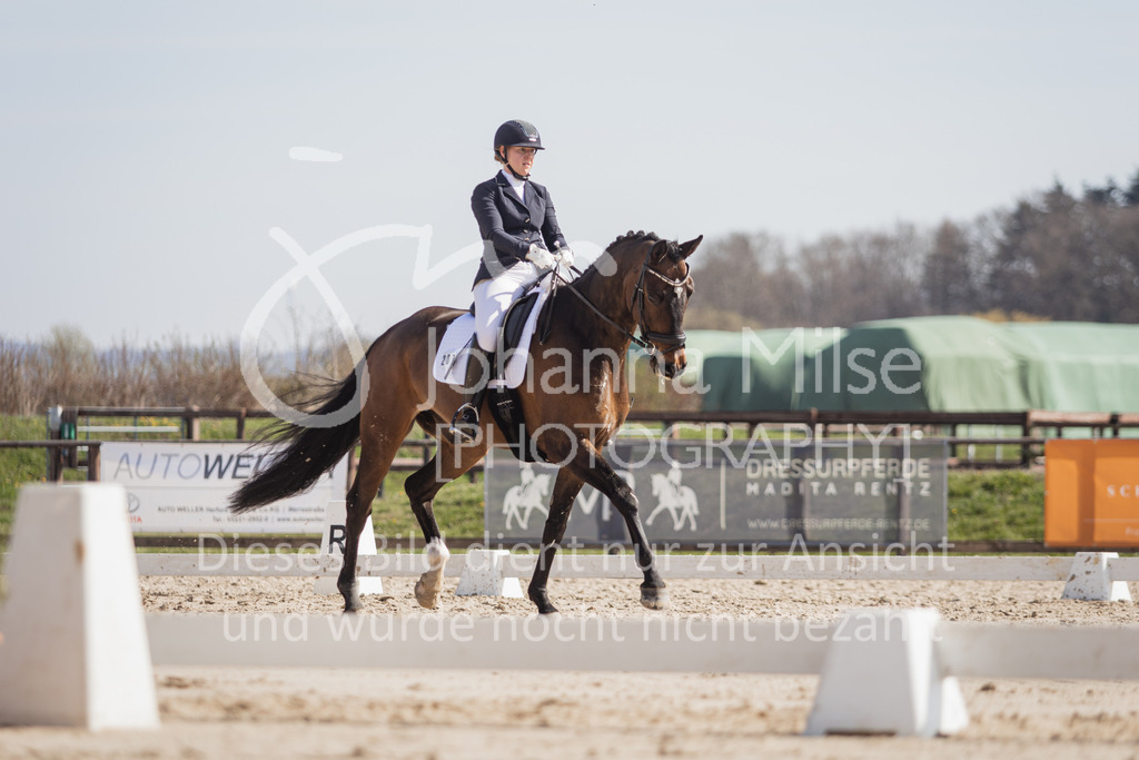 230410_Frühlingsfest_Dressurpf-M-106 | Deine schönsten Turniermomente als professionelle Fotos! Entdecke hochwertige Pferdesport-Fotografie im Online-Shop. Jetzt Fotos finden & bestellen!