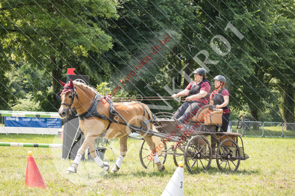 IMG_7975 | Sport-, Event- und Tierfotos in Profiqualität. Einfach auswählen, bestellen und herunterladen. Dein Moment – perfekt festgehalten.