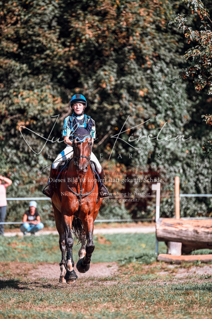 DSC_0828 | Pferde- und Turnierfotografie in Westsachsen. Pferdeportraits, Auftragszeichnungen und intuitive Kunst.