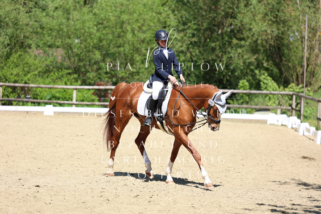 IMGS3233 | pl-fotografie