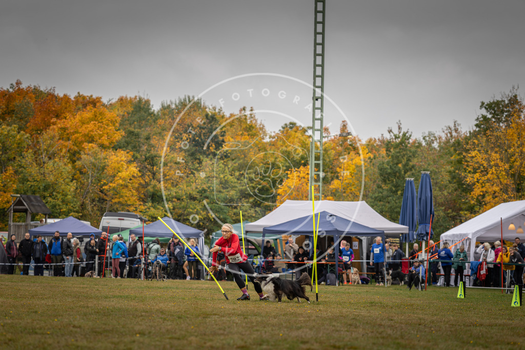 Pfotenfotografie_DV3A1969 | Hundefotografie, Tierfotograf, Pfotenfotografie, Fotoshooting Hund, Hunde Portrait, Hundesport, Hundeportraits, Heideshooting, Hunde, Sportfotograf, Hundefotograf, Turnierhundsport, THS,  - Realisiert mit Pictrs.com