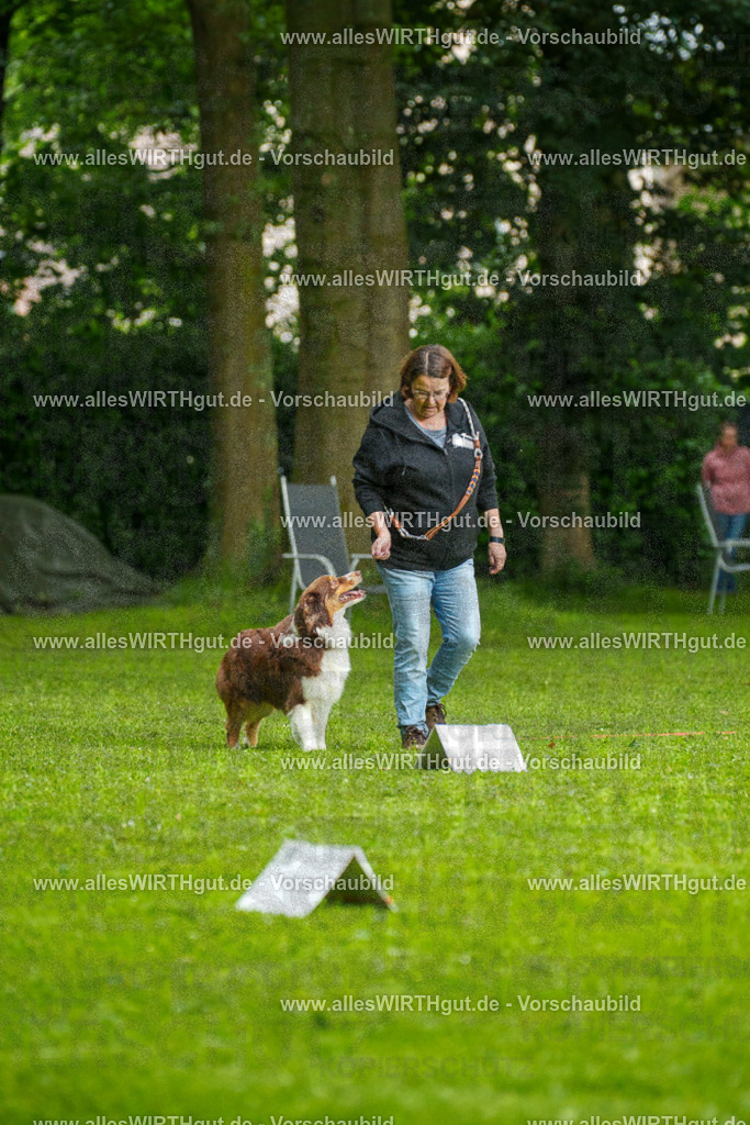@allesWIRTHgut_Tierfotografie - www.allesWIRTHgut.de - 7R502532 | Professionelle Tierfotografie in Mönchengladbach von Daniel Wirth (allesWIRTHgut). Liebevolle & natürliche Bilder von Hunden & Katzen für unvergessliche Erinnerungen.