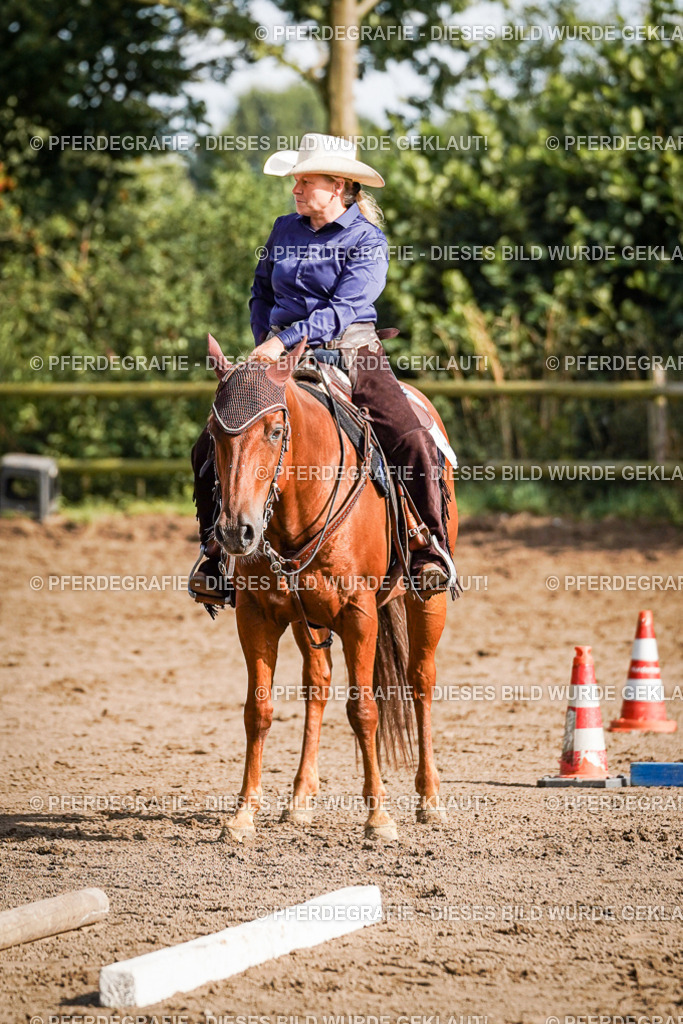 DSC00372 | Pferdegrafie