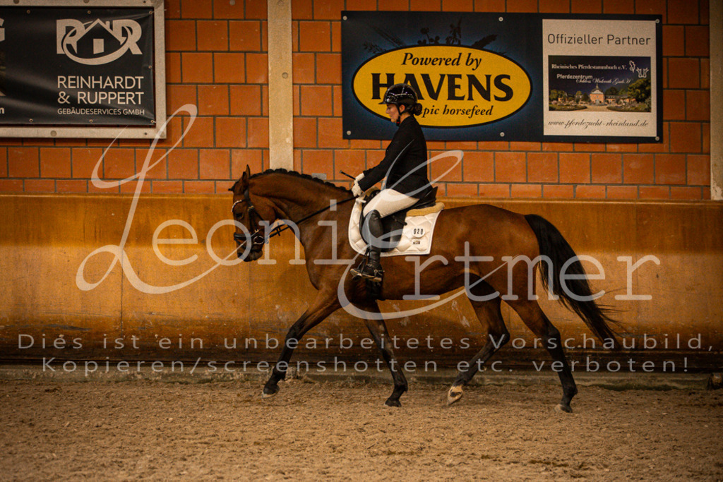 2Reiten00262 | Leoni Ertmer Photography - Realisiert mit Pictrs.com