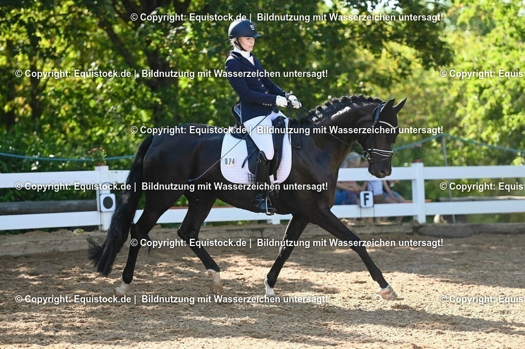 20230715_06_Dressurpferdeprfg. Kl.A_0243 | equistock