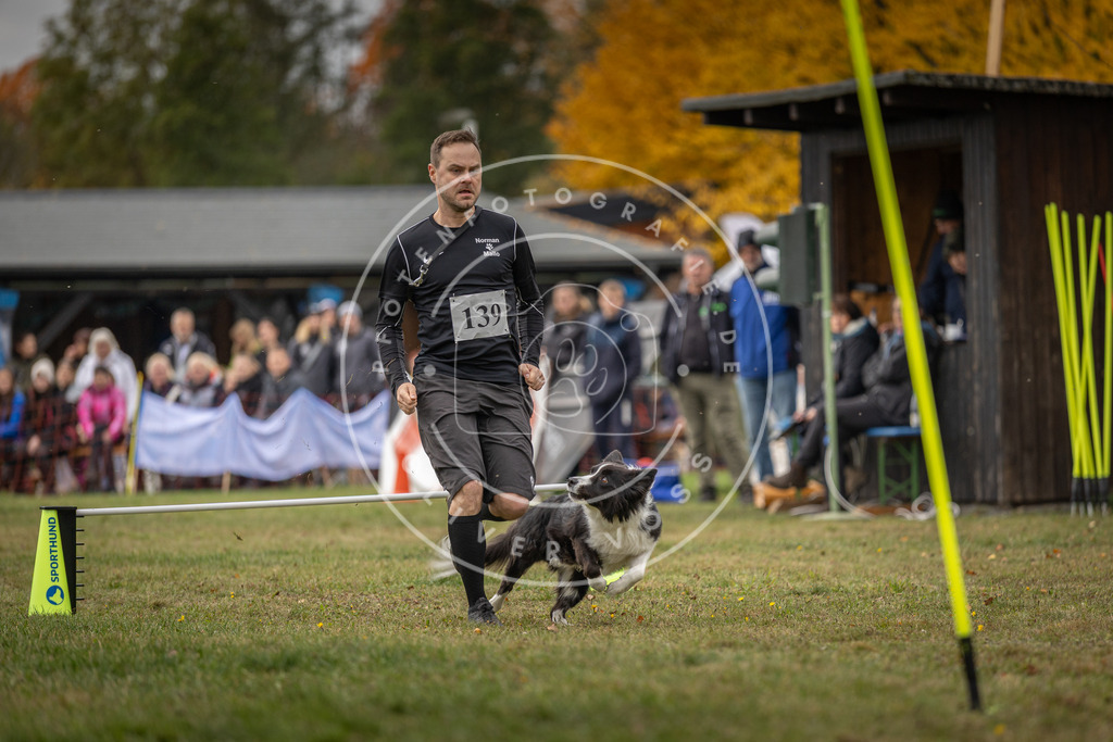 Pfotenfotografie_DV3A7939 | Hundefotografie, Tierfotograf, Pfotenfotografie, Fotoshooting Hund, Hunde Portrait, Hundesport, Hundeportraits, Heideshooting, Hunde, Sportfotograf, Hundefotograf, Turnierhundsport, THS,  - Realisiert mit Pictrs.com