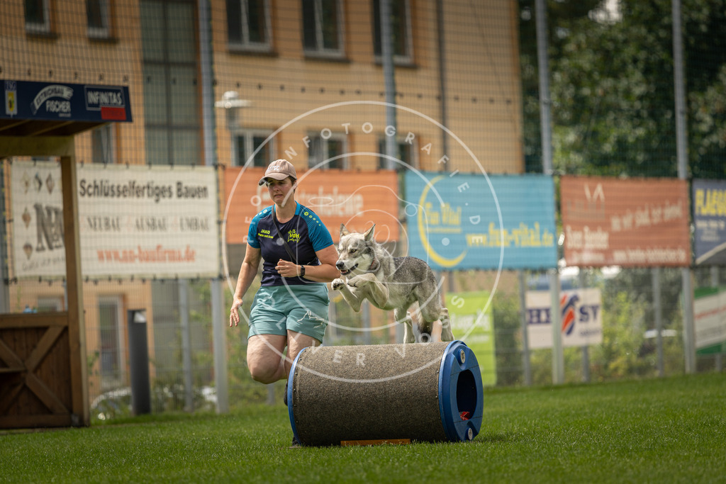 Pfotenfotografie_DV3A3286 | Hundefotografie, Tierfotograf, Pfotenfotografie, Fotoshooting Hund, Hunde Portrait, Hundesport, Hundeportraits, Heideshooting, Hunde, Sportfotograf, Hundefotograf, Turnierhundsport, THS,  - Realisiert mit Pictrs.com