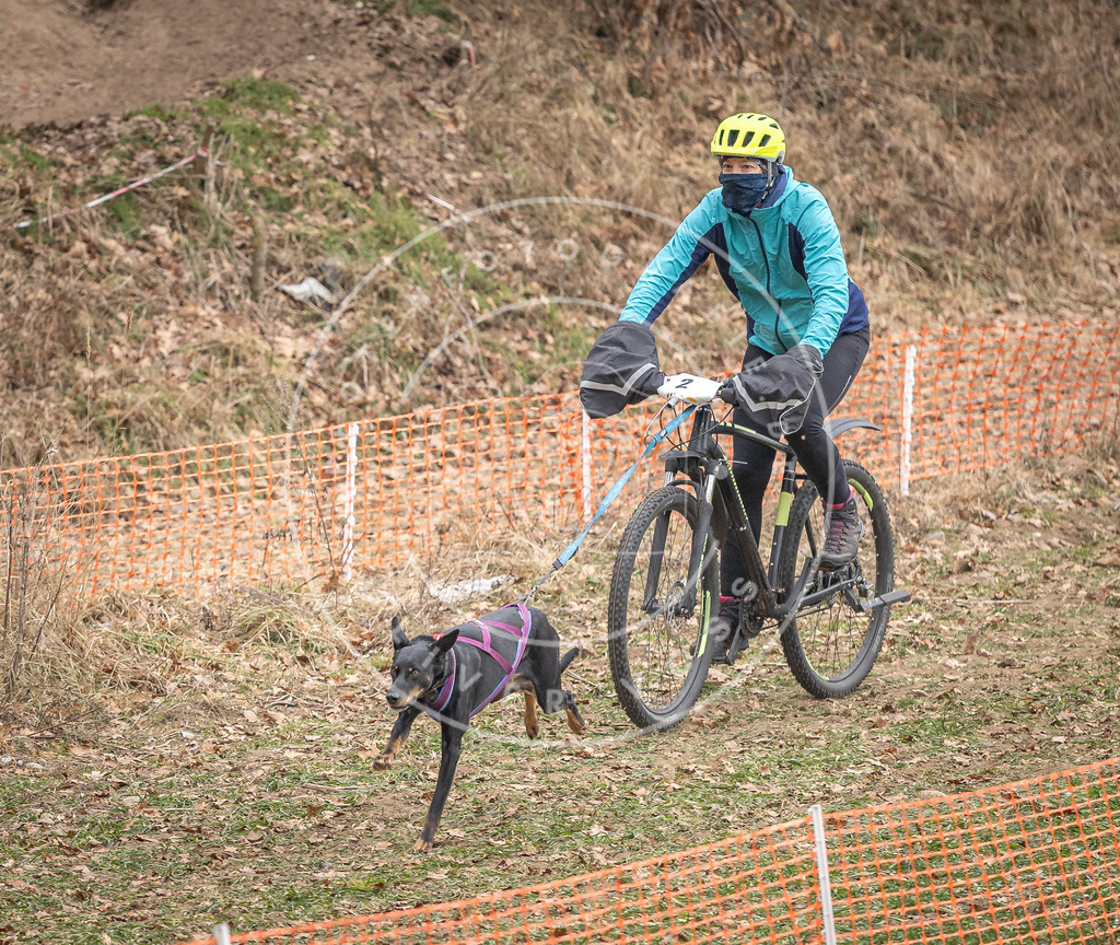 Pfotenfotografie_DV3A6965 | Hundefotografie, Tierfotograf, Pfotenfotografie, Fotoshooting Hund, Hunde Portrait, Hundesport, Hundeportraits, Heideshooting, Hunde, Sportfotograf, Hundefotograf, Turnierhundsport, THS,  - Realisiert mit Pictrs.com