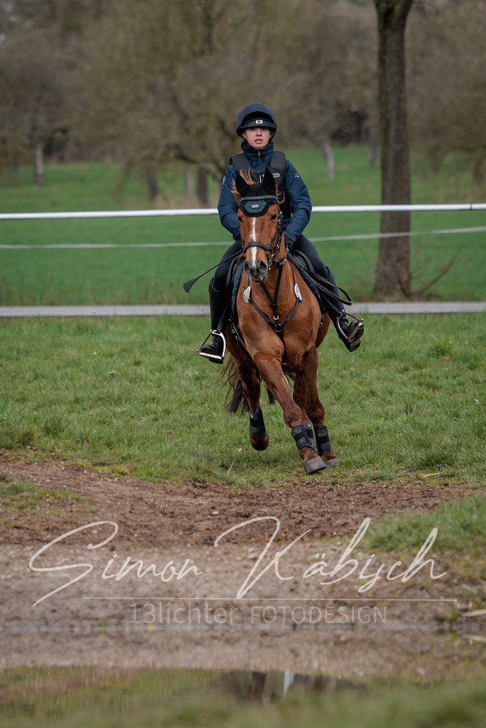 20260329-_3LI4420 | Tierfotografie Pferde, Hunde, Katzen, Haustiere.
Turnierfotografie Reitturniere, Reiten, Springreiten, Dressur in Hanau, dem Main-Kinzig-Kreis und dem Rhein-Main- Gebiet um Frankfurt