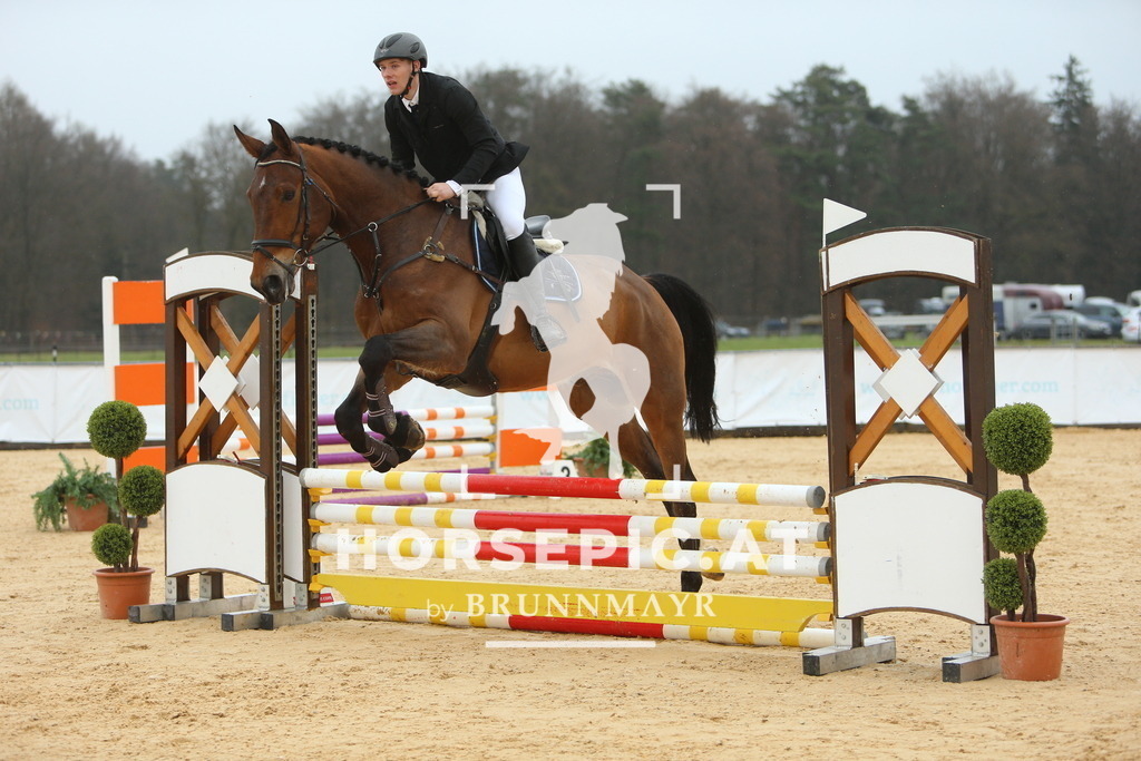 DL2Q1211 | Willkommen bei Brunnmayr - Design & Fotografie – Ihrem Spezialisten für Reitturniere und Pferdeveranstaltungen in Oberösterreich, Salzburg und Bayern! Seit über 17 Jahren sind wir leidenschaftlich dabei.