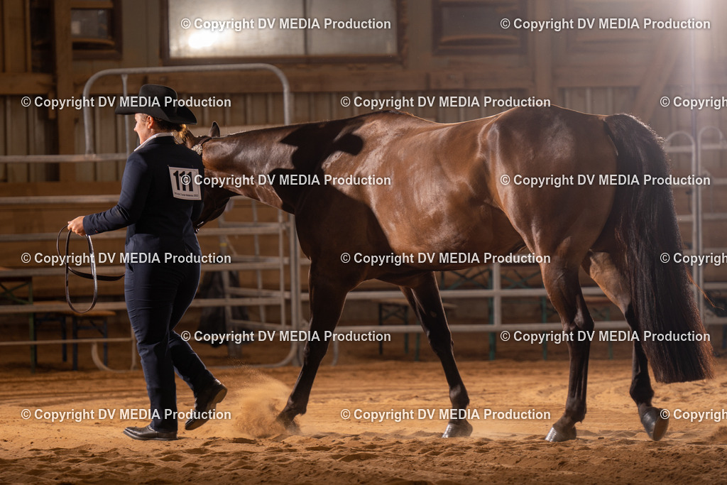 NID00076 | dv-media-shop - Realisiert mit Pictrs.com