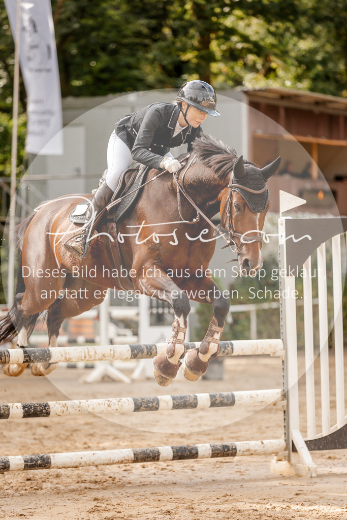 3I6A6758 | Stimmungsvolle Portraits und Reitsportfotografie im Ruhrgebiet und im Münsterland.

Pferdefotografie, Hundefotografie, Tierfotografie, Reportagen, Portraits von Tier und Mensch, Turnierfotografie in Bochum, Recklinghausen, Marl, Haltern am See, Dülmen.. - Realisiert mit Pictrs.com
