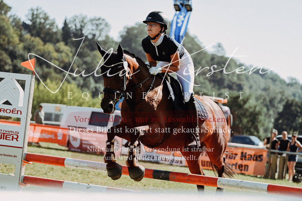 DSC_6960 | Pferde- und Turnierfotografie in Westsachsen. Pferdeportraits, Auftragszeichnungen und intuitive Kunst.