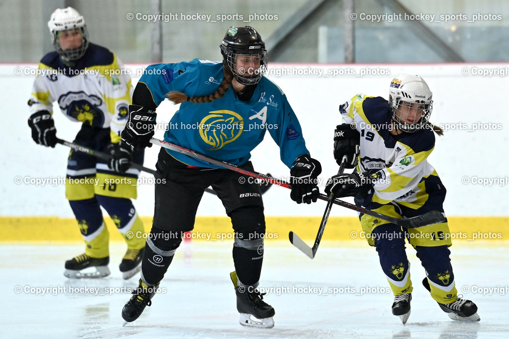 BST_6362 | hockey sports photos, Pressefotos, Sportfotos, hockey247, win 2day icehockeyleague, Handball Austria, Floorball Austria, ÖVV, Kärntner Eishockeyverband, KEHV, KFV, Kärntner Fussballverband, Österreichischer Volleyballverband, Alps Hockey League, ÖFB, 