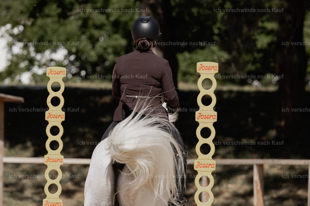 WE_ST_Stoib_318_PI2025_958 | Pferd International München 2025