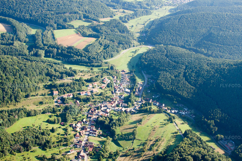 Luftbild: Erlenbach von Süden in Erlenbach bei Dahn im Bundesland Rheinland-Pfalz in Deutschland. Foto: IMG_31036.jpg vom 07.08.2010 durch Werner Riehm/FLY-FOTO.de
