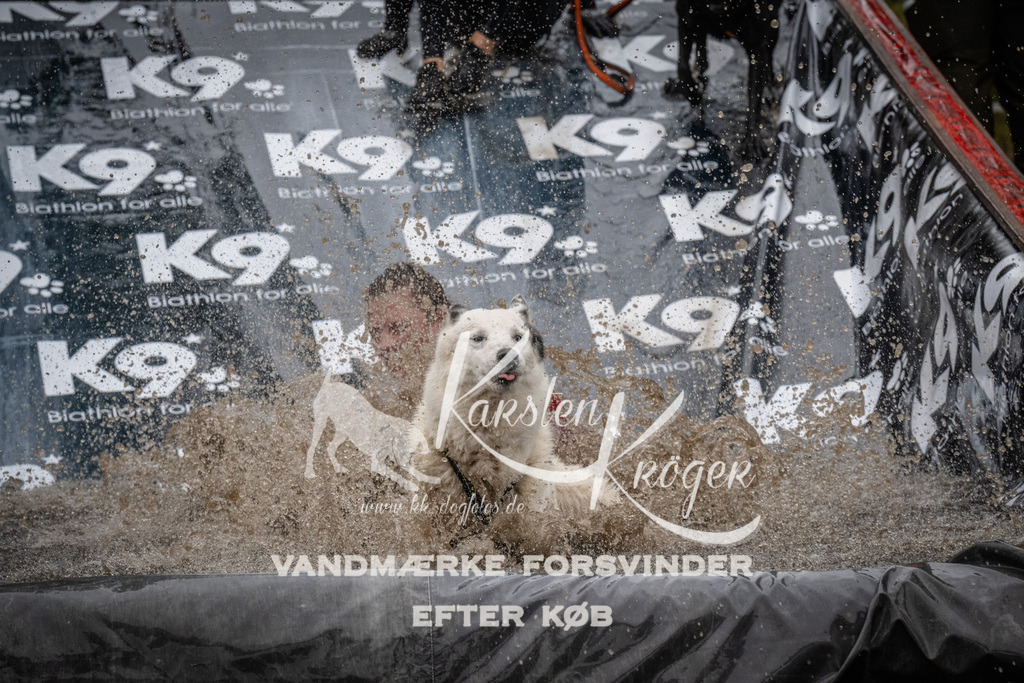 1103_ZZ91503 | kk-dogfotos