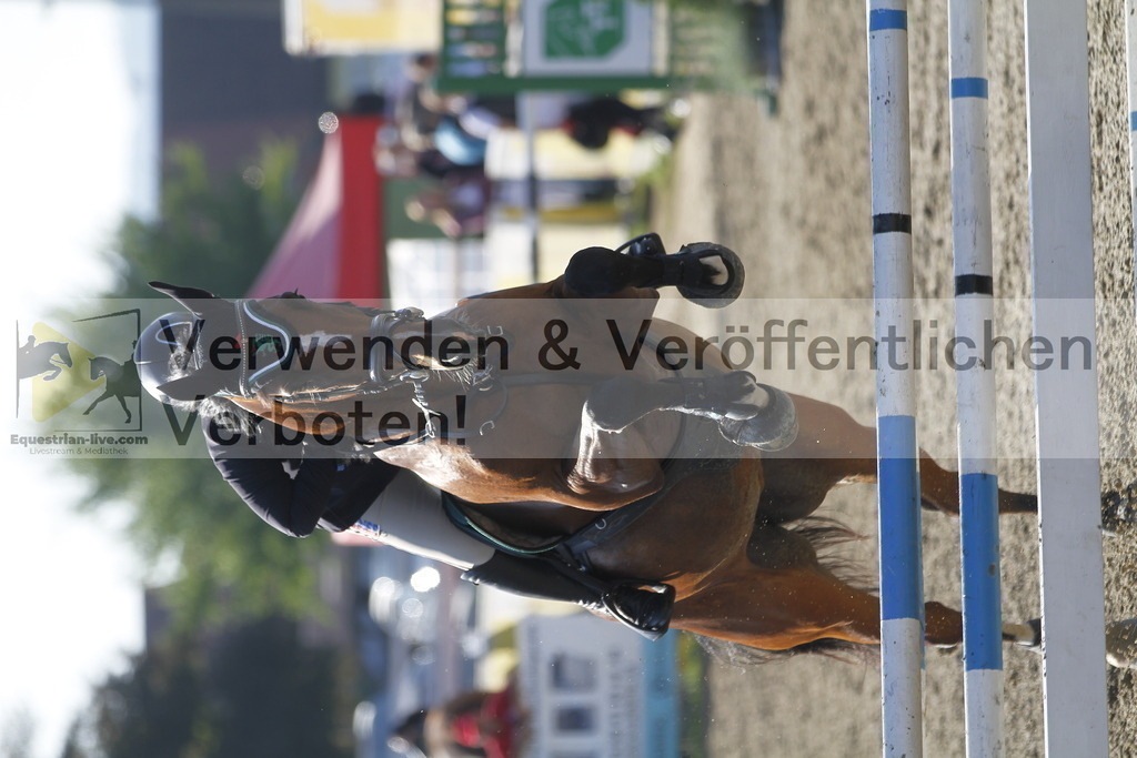 _MG_4295 | equestrian-live-com