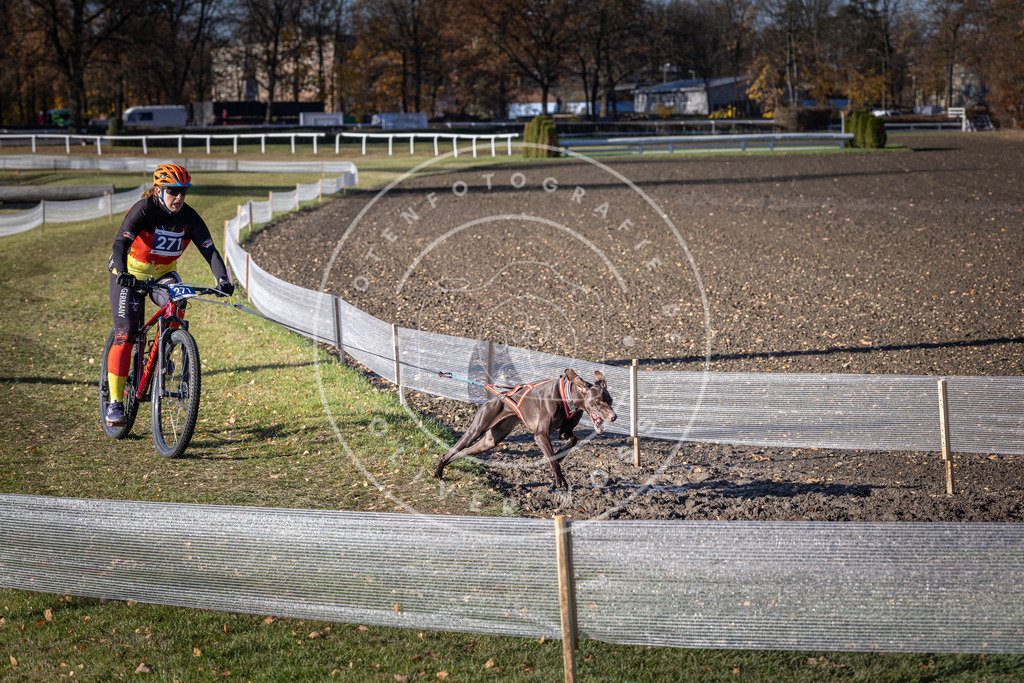 CaniXpix_DV3A5209 | Hundefotografie, Tierfotograf, Pfotenfotografie, Fotoshooting Hund, Hunde Portrait, Hundesport, Hundeportraits, Heideshooting, Hunde, Sportfotograf, Hundefotograf, Turnierhundsport, THS,  - Realisiert mit Pictrs.com