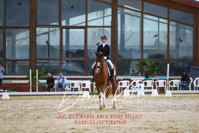 DKP43602 | Turniersportfotografie; Pferdefotografie; Dressurfotografie