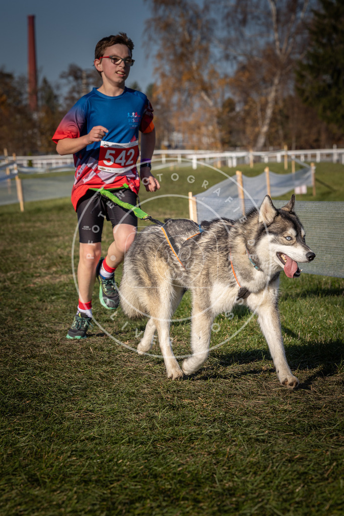 CaniXpix_0L8A7588 | Hundefotografie, Tierfotograf, Pfotenfotografie, Fotoshooting Hund, Hunde Portrait, Hundesport, Hundeportraits, Heideshooting, Hunde, Sportfotograf, Hundefotograf, Turnierhundsport, THS,  - Realisiert mit Pictrs.com