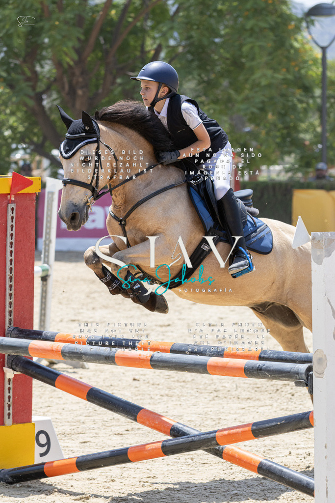 IMG_1342 | s-jay-photography - Realisiert mit Pictrs.com