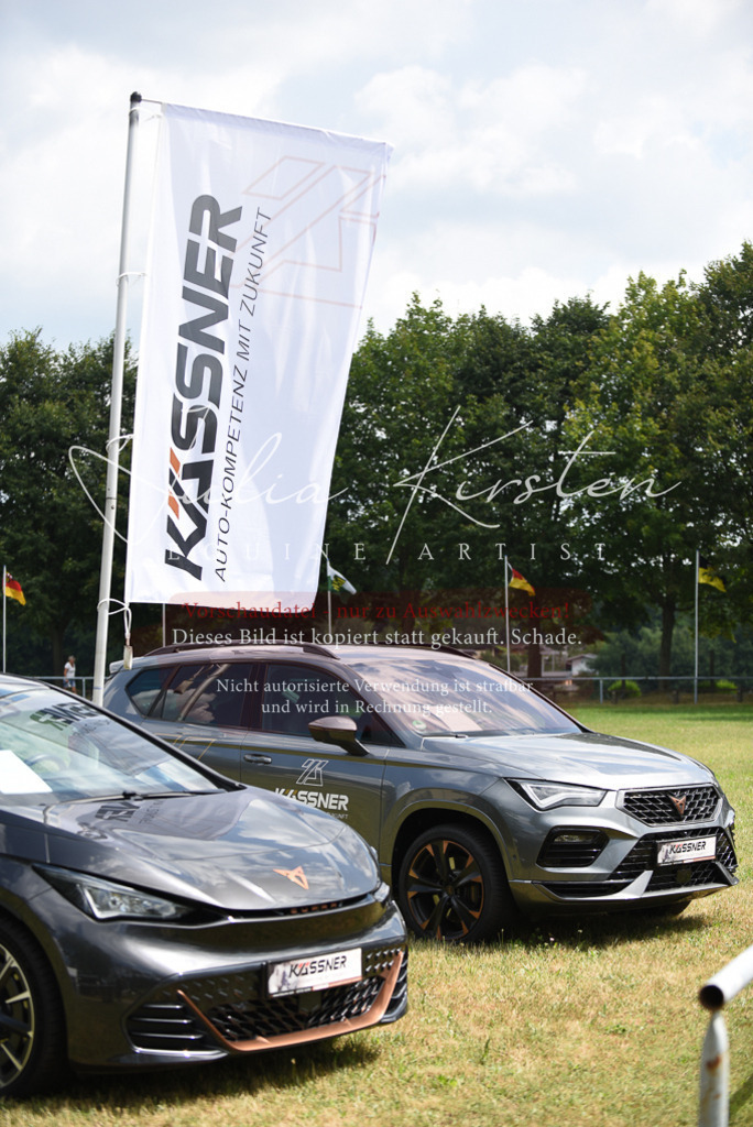 DSC_4267 | Pferde- und Turnierfotografie in Westsachsen. Pferdeportraits, Auftragszeichnungen und intuitive Kunst.