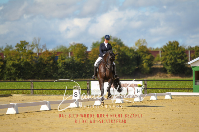 DKP44015 | Turniersportfotografie; Pferdefotografie; Dressurfotografie