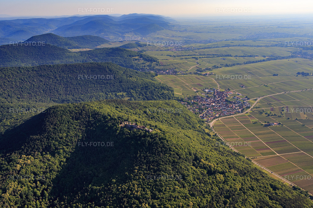 Luftbild: Burgruine Madenburg am Haardtrand in Eschbach im Bundesland Rheinland-Pfalz in Deutschland. Foto: IMG_080081.jpg vom 05.06.2015 durch Werner Riehm/FLY-FOTO.deMadenburg