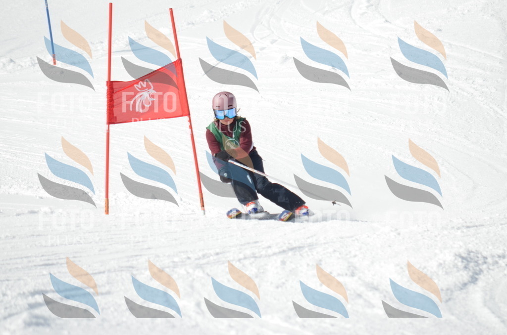 D8868 | holidayphoto