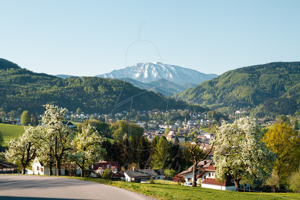 Der Ötscher  und die Stadt Scheibbs umrahmt von den Birnbaumblüten | Ihre Fotografin im Lungau, ihre Fotografin im Mostviertel, Wandbilder Onlineshop, Imagefotos für Ihr Unternehmen,  - Realisiert mit Pictrs.com