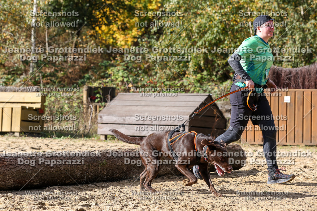 Dog Paparazzi - Strongdog 10-25-5236 | Dog Paparazzi Jeanette Grottendiek Fotografie & Videografie - Realisiert mit Pictrs.com