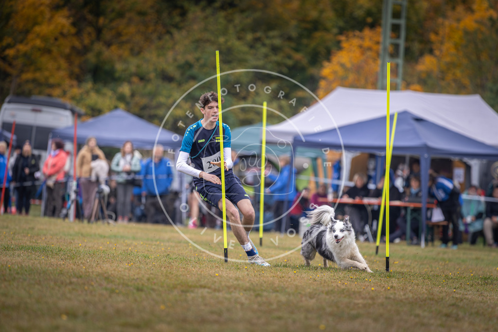 Pfotenfotografie_DV3A1220 | Hundefotografie, Tierfotograf, Pfotenfotografie, Fotoshooting Hund, Hunde Portrait, Hundesport, Hundeportraits, Heideshooting, Hunde, Sportfotograf, Hundefotograf, Turnierhundsport, THS,  - Realisiert mit Pictrs.com