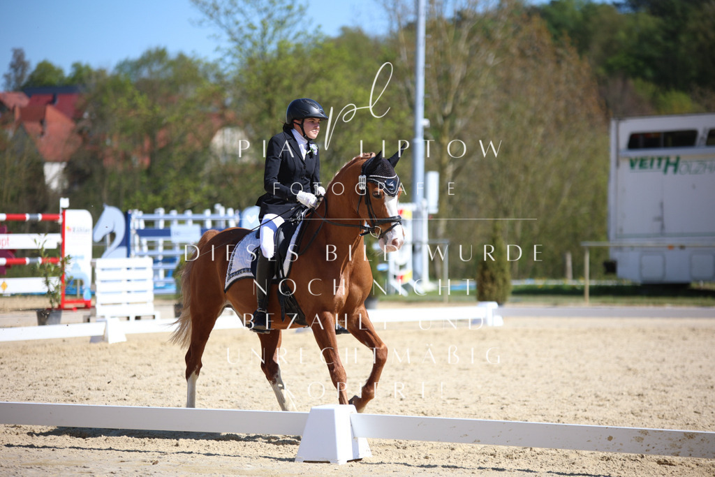 IMGT1578 | pl-fotografie