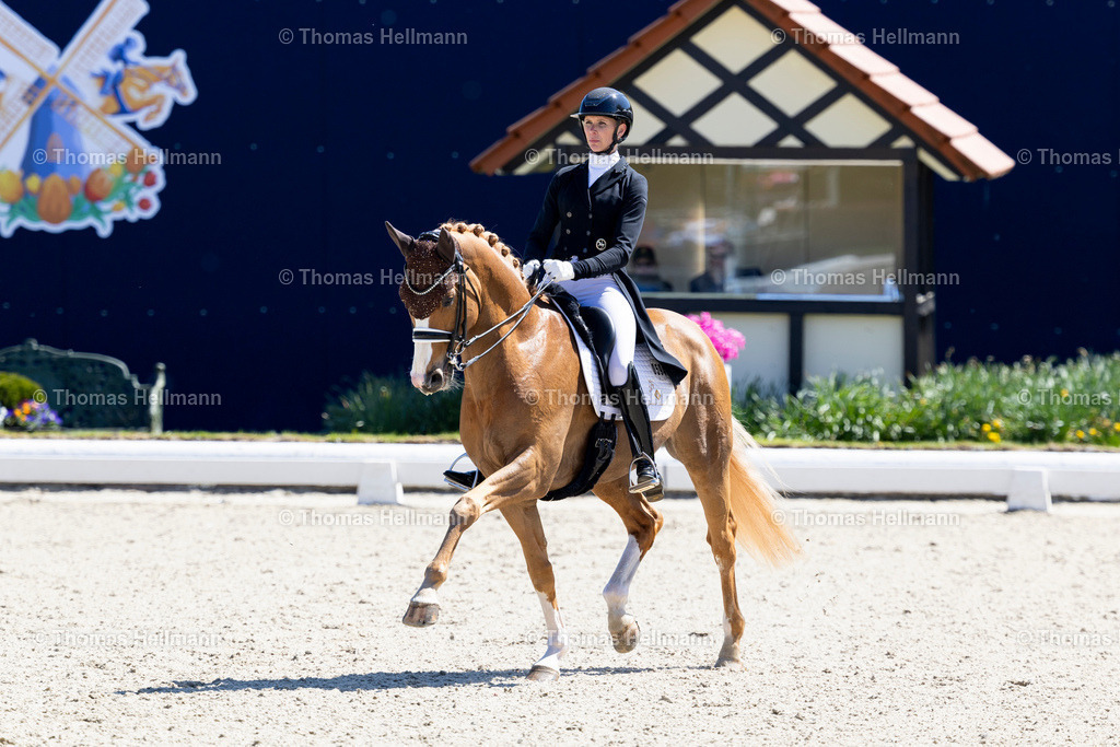 TH_594-Borghese MT-Soddemann_ Kira Laura_27938 | Horses &amp; Dreams meets the Netherlands 2025 am 27.04.25 in Hagen a.T.W., 594Borghese MTSoddemann, Kira Laura