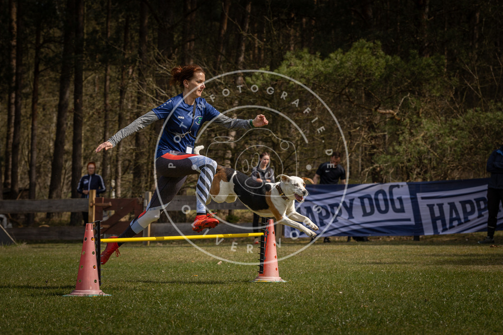 Pfotenfotografie_DV3A3585 | Hundefotografie, Tierfotograf, Pfotenfotografie, Fotoshooting Hund, Hunde Portrait, Hundesport, Hundeportraits, Heideshooting, Hunde, Sportfotograf, Hundefotograf, Turnierhundsport, THS,  - Realisiert mit Pictrs.com