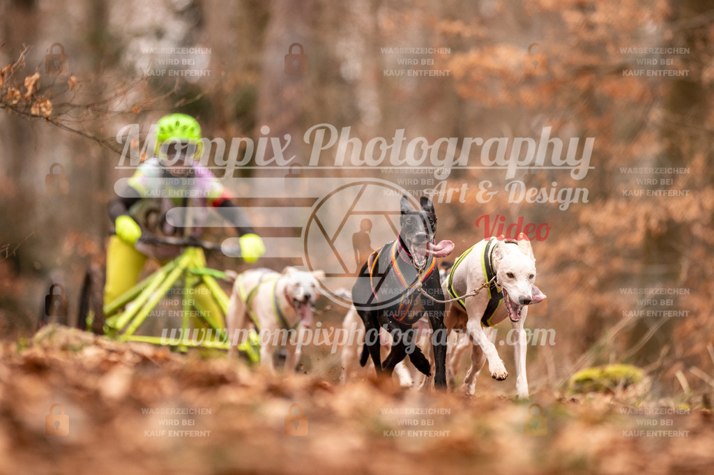 AKM_ST_2023_SAM_DR6-3 | PayLife