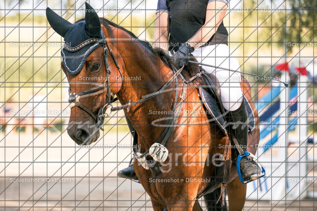 _W6A2326 | ronjaprokoschfotografie - Realisiert mit Pictrs.com