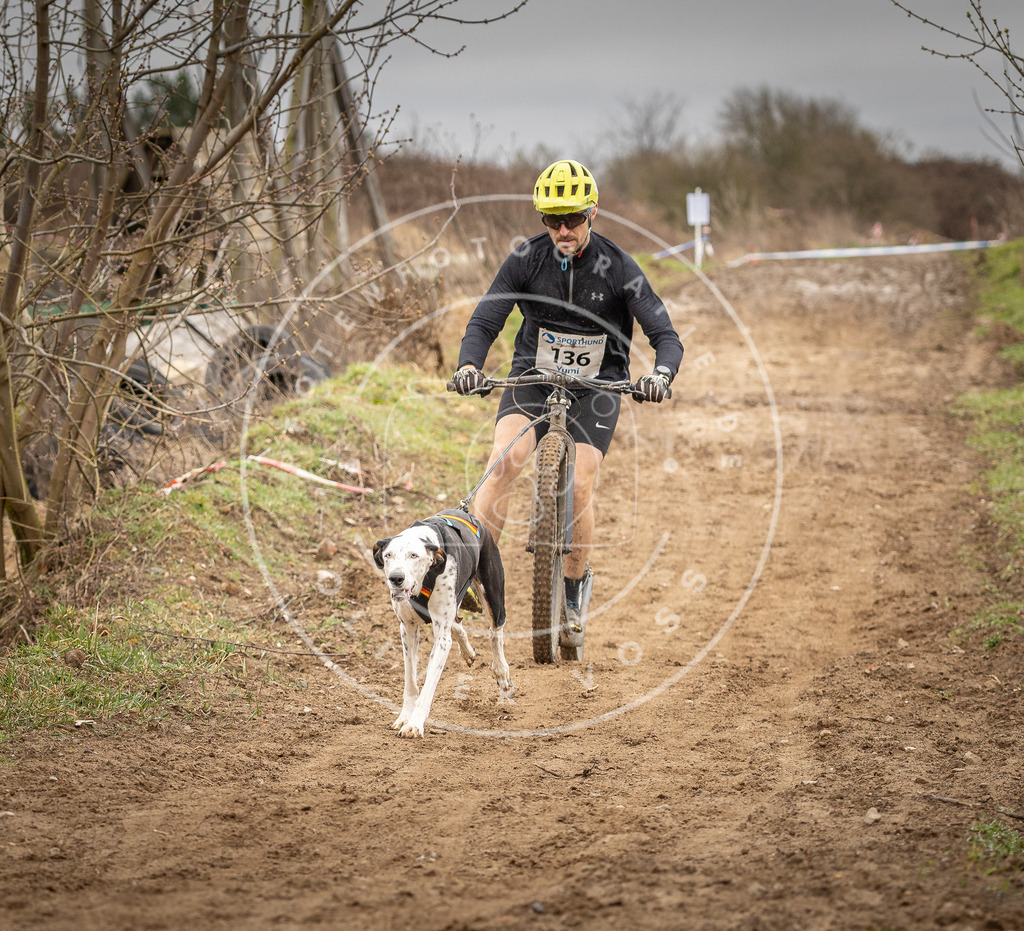 DV3A1324 | Hundefotografie, Tierfotograf, Pfotenfotografie, Fotoshooting Hund, Hunde Portrait, Hundesport, Hundeportraits, Heideshooting, Hunde, Sportfotograf, Hundefotograf, Turnierhundsport, THS,  - Realisiert mit Pictrs.com