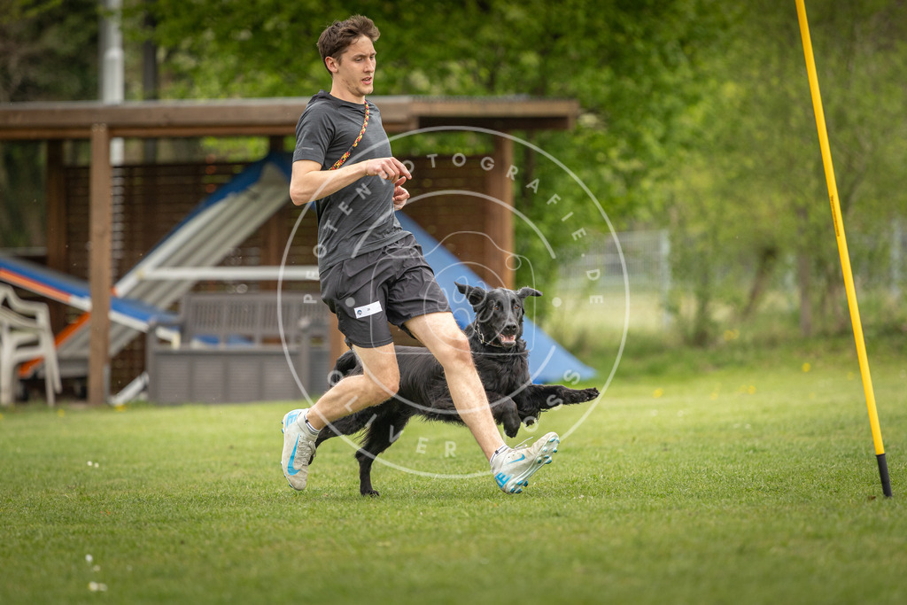 Pfotenfotografie_DV3A9760 | Hundefotografie, Tierfotograf, Pfotenfotografie, Fotoshooting Hund, Hunde Portrait, Hundesport, Hundeportraits, Heideshooting, Hunde, Sportfotograf, Hundefotograf, Turnierhundsport, THS,  - Realisiert mit Pictrs.com