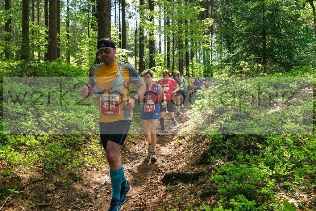 Rennsteiglauf 2019 | Marathon Neuhaus/Rwg. - Schmiedefeld am 18. Mai 2019