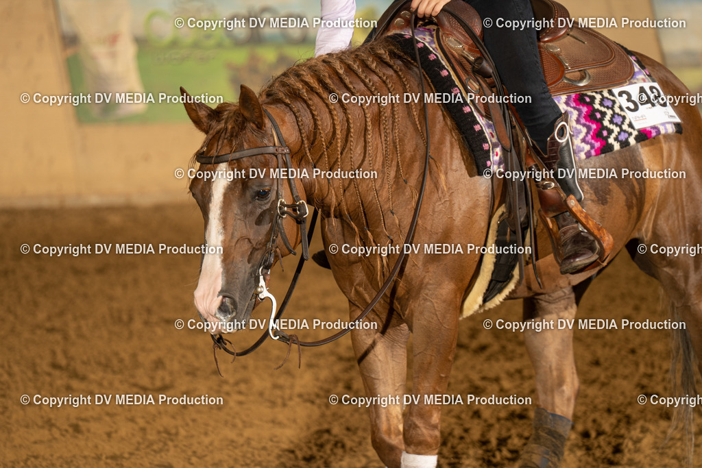 LAU00254 | dv-media-shop - Realisiert mit Pictrs.com