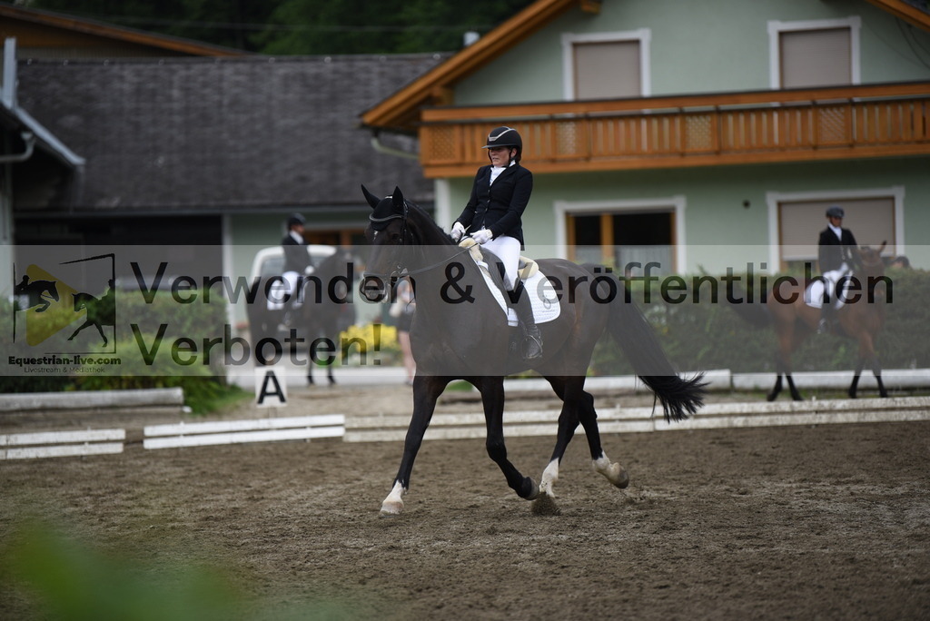 DSC_4684 | equestrian-live-com