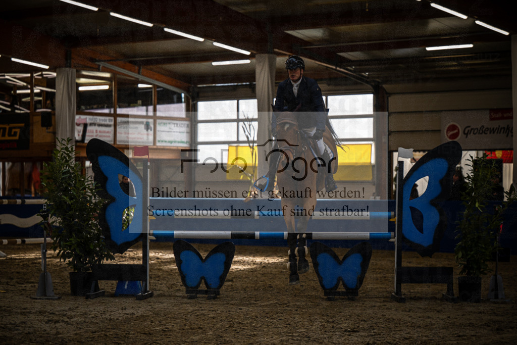 DOS_B1285 | Entdecke hochwertige Reitturnierfotos von Foto Oger. Professionell, emotional und authentisch – jetzt Lieblingsmomente im Shop bestellen.Deutschlandweite Turnierfotografie. - Realisiert mit Pictrs.com