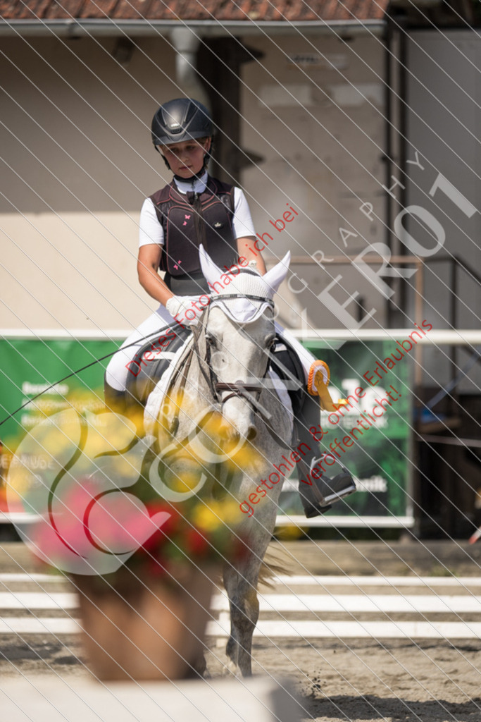IMG_5206 | Sport-, Event- und Tierfotos in Profiqualität. Einfach auswählen, bestellen und herunterladen. Dein Moment – perfekt festgehalten.