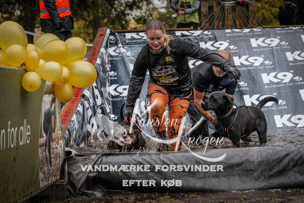 1112_ZZ92095 | kk-dogfotos