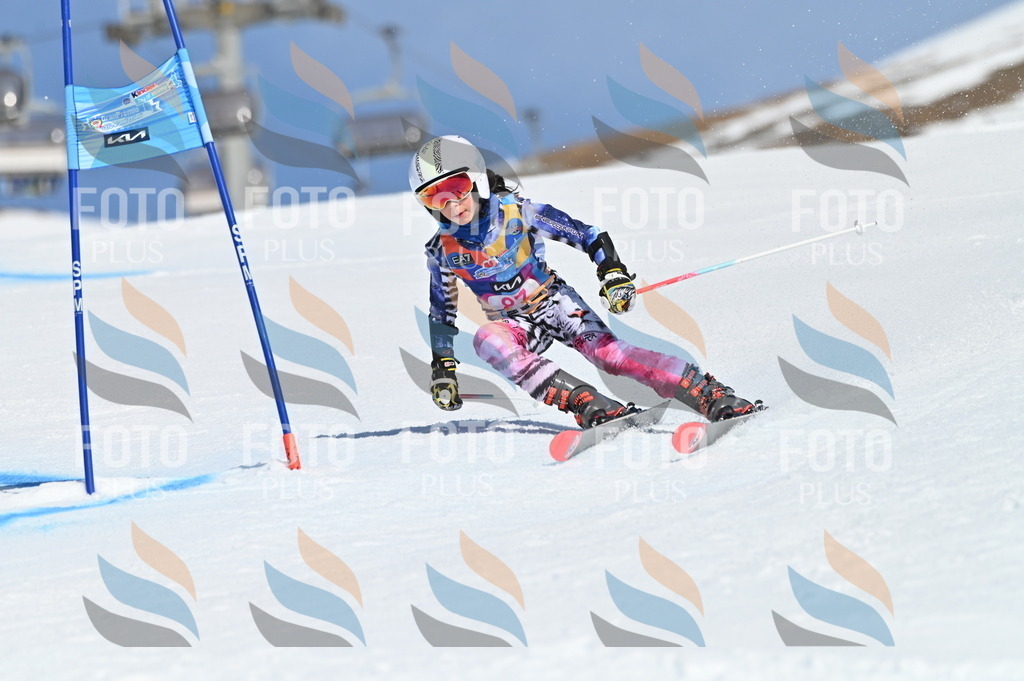 BGV_9196 | holidayphoto