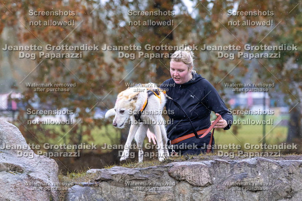 Dog Paparazzi - SD CaniX Championship 2025-742 | Dog Paparazzi Jeanette Grottendiek Fotografie & Videografie - Realisiert mit Pictrs.com